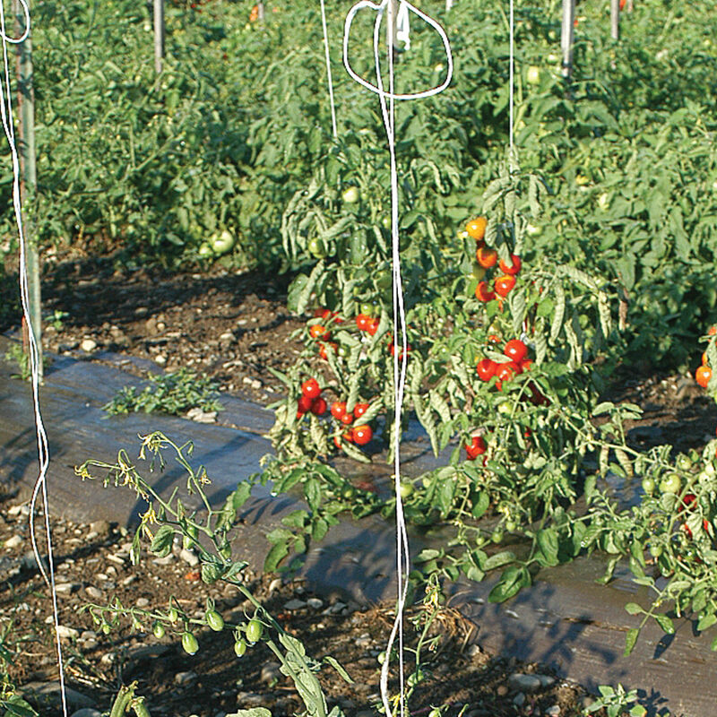 Tomato Twine – 1,000'  Johnny's Selected Seeds