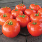 Mountain Merit Slicing Tomatoes