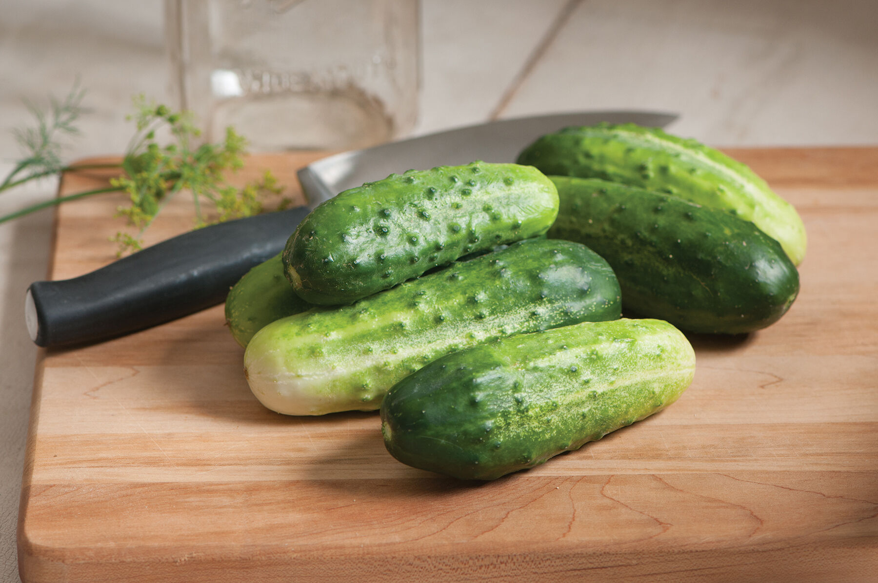 【cucumber】 Cucumber, Straight Eight Organic Seeds | Organic Cucumbers