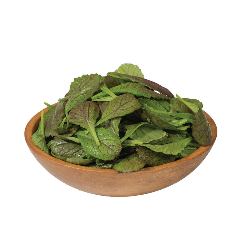 Red Giant Red Giant Mustard Greens