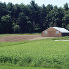 Spring Green Manure Mix Farm Seed