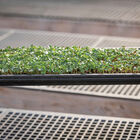 Microgreens Reservoir Tray Microgreens Supplies