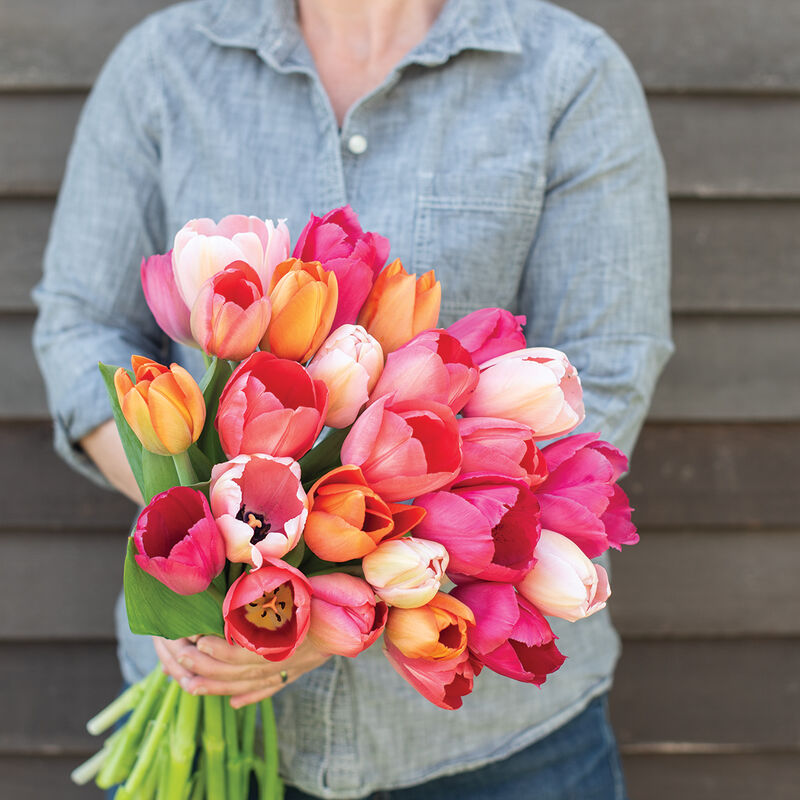 100 Tulips Wrapped Bouquet