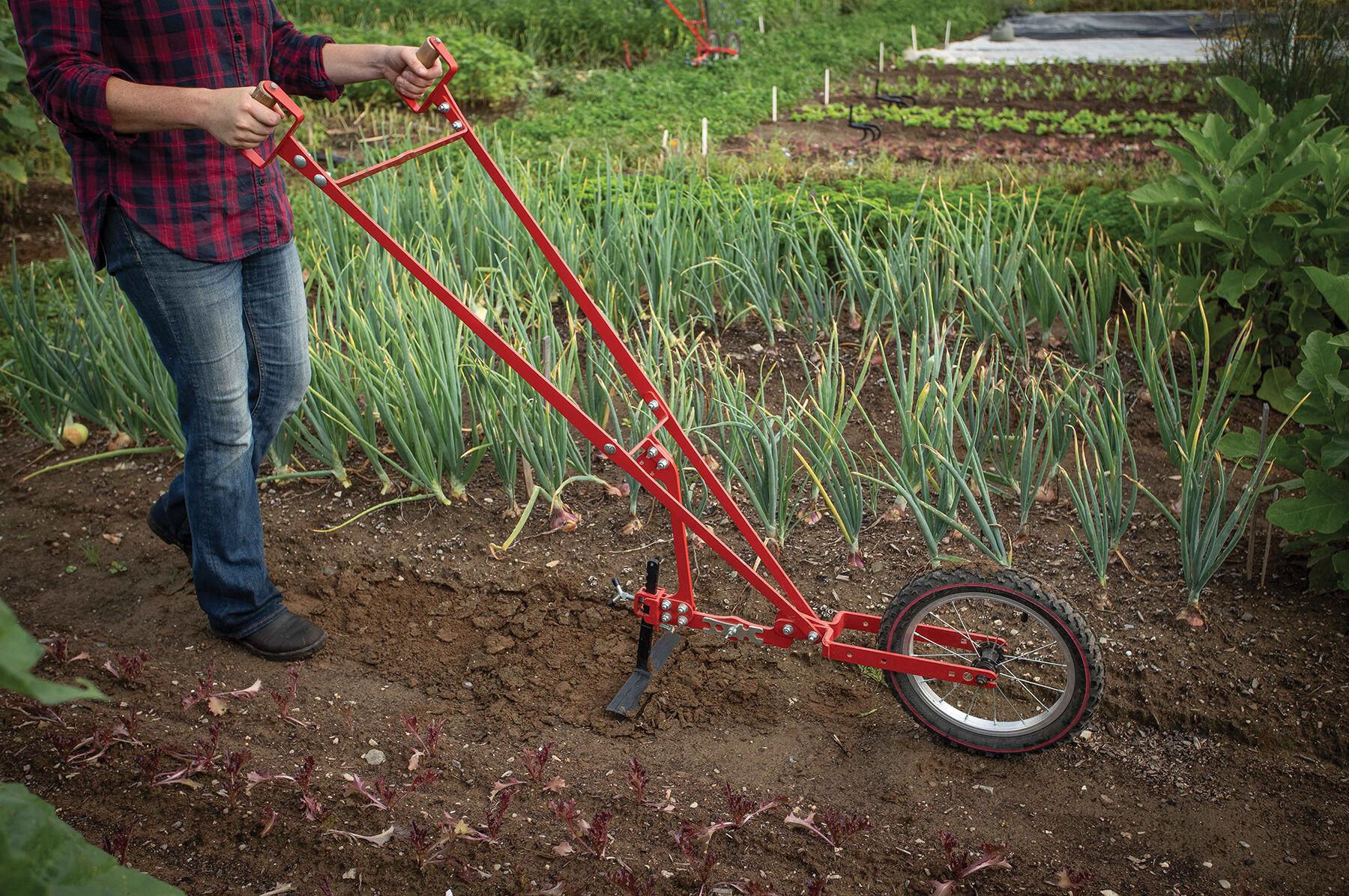 Single wheel hoe sales cultivator