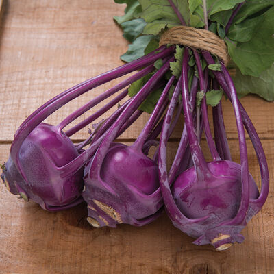 Azur Star Kohlrabi