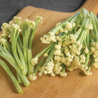 Fioretto 70 Sprouting Cauliflower