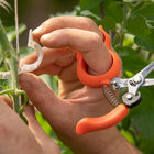 Hands-Free Pruning Shears – Stainless Steel Hands-Free Pruning Shears – Stainless Steel Shears & Scissors