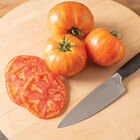 Hot Streak Beefsteak Tomatoes
