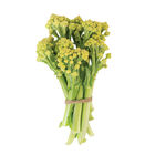 Romanetto 80 Sprouting Cauliflower