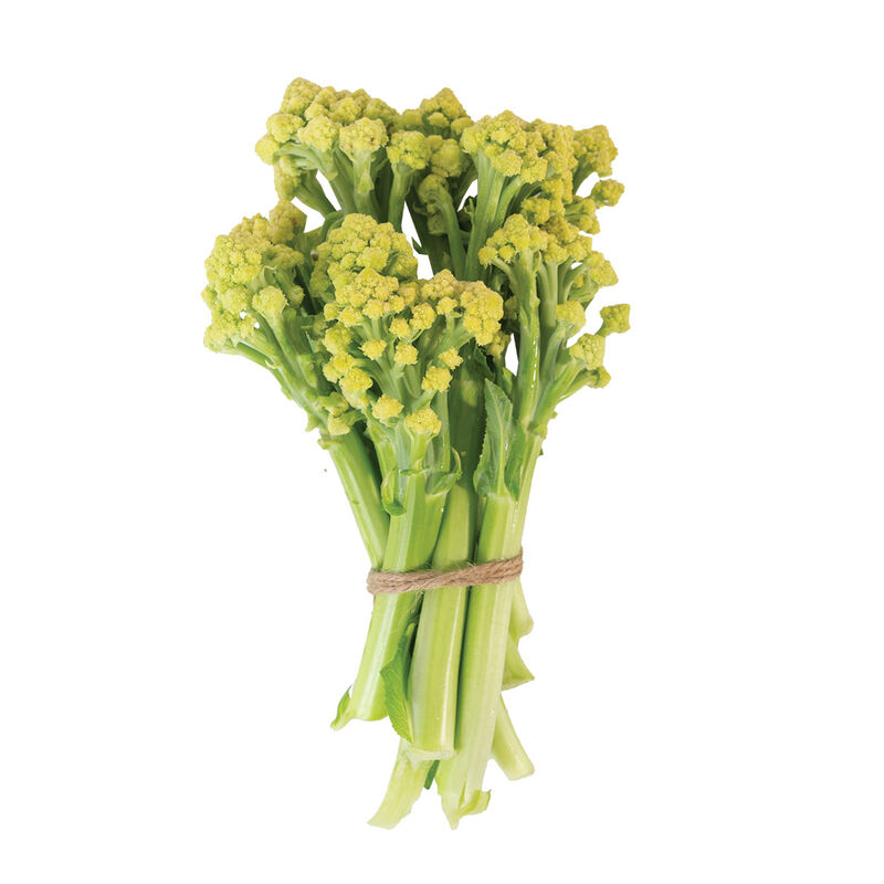 Romanetto 80 Sprouting Cauliflower