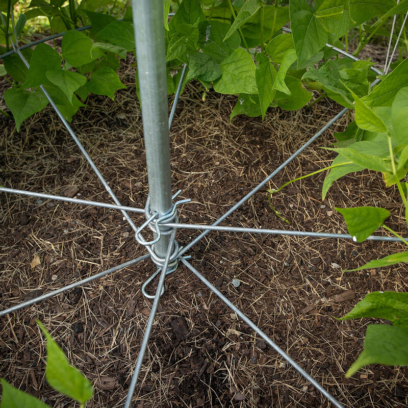 Bean Tower – 60" Cages & Fences