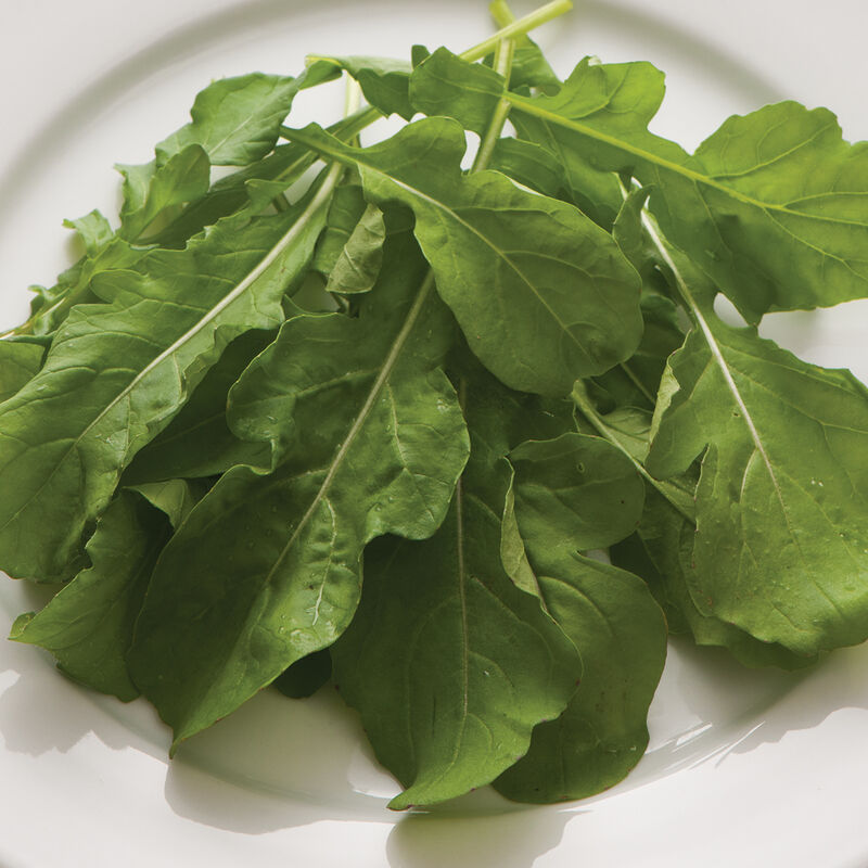 Arugula (Standard) Arugula (Roquette)