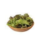 Red Sails Leaf Lettuce