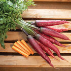 Dragon Colored Carrots