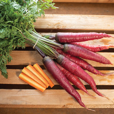 Dragon Colored Carrots