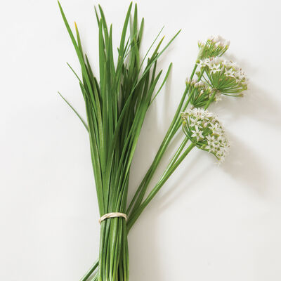 Chinese Leeks/Garlic Chives Chinese Leeks/Garlic Chives Chinese Leeks (Garlic Chives)