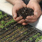 Johnny's Germination Mix – 20 Qt. Johnny's Germination Mix – 20 Qt. Growing Media