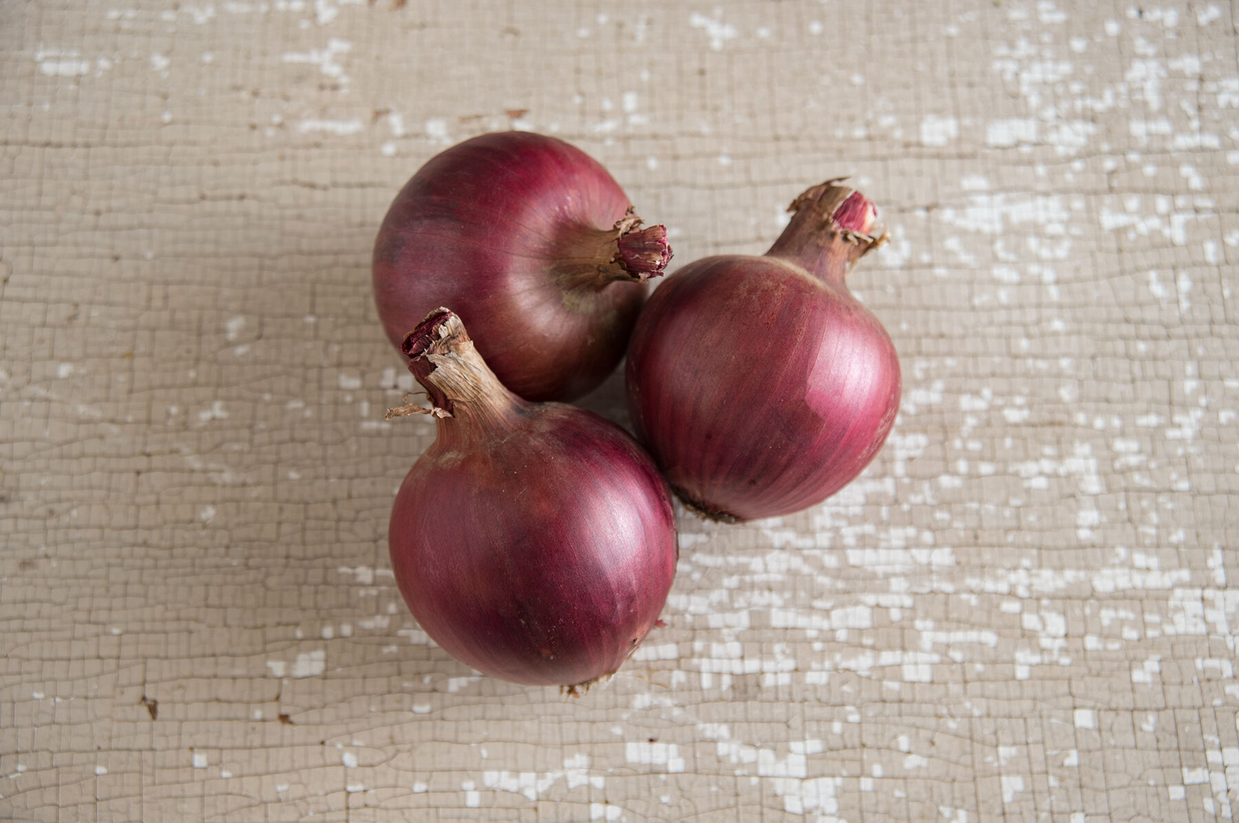 Redwing - (F1) Onion Seed | Johnny's Selected Seeds