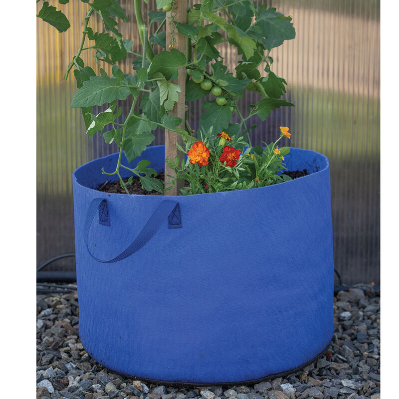 Smart Pot® Vivid Color, Berry Blue – 15 Gal. Grow Bags