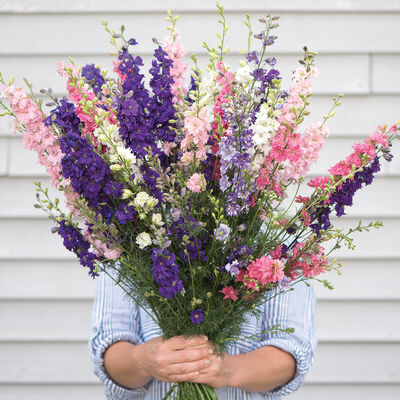 Johnny's Sublime Formula Mix Larkspur