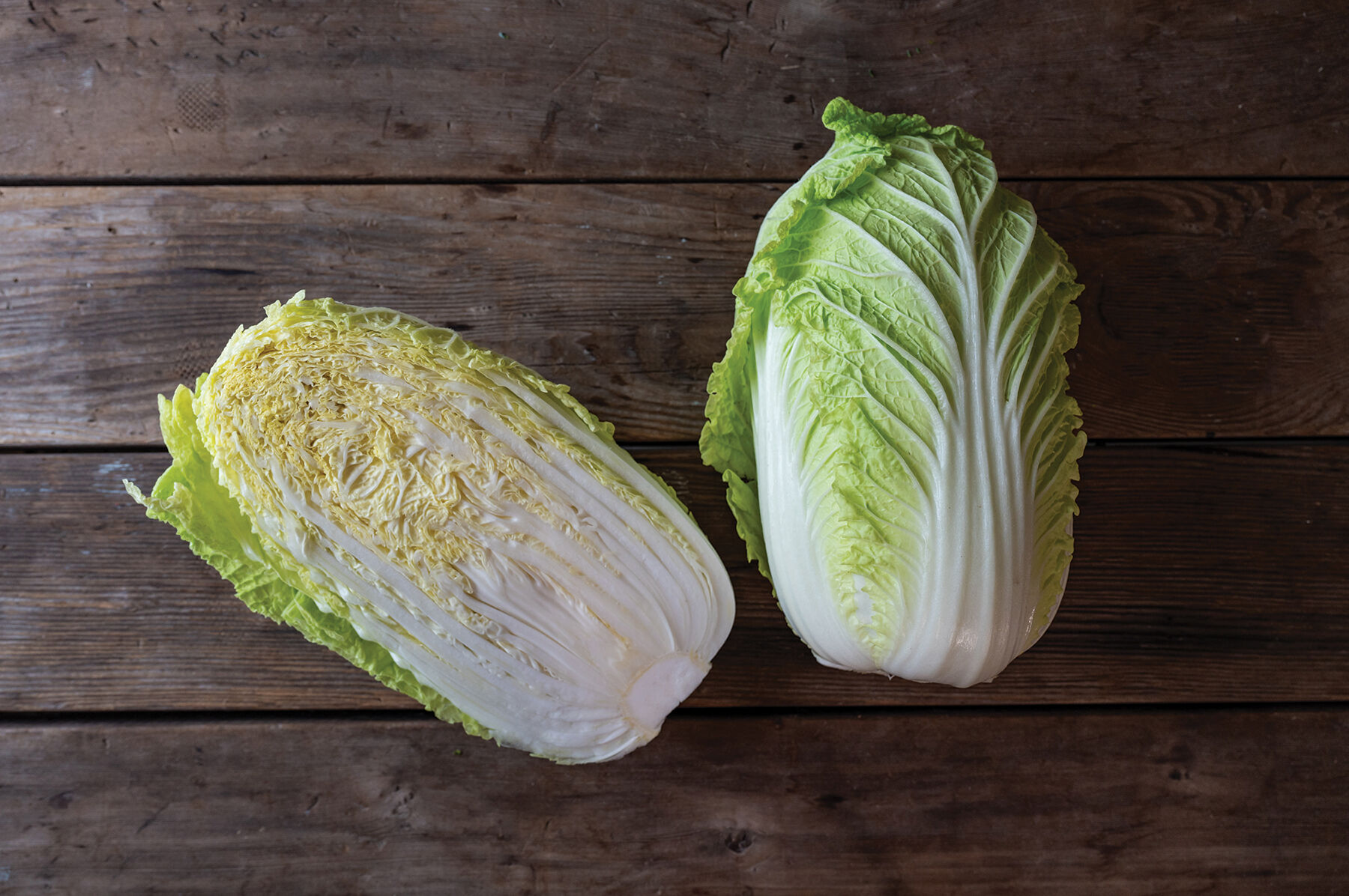 Apple - haku Haku - (F1) Chinese Cabbage Seed | Johnny's Selected Seeds