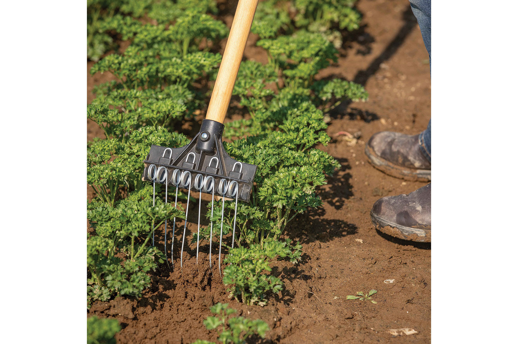 Tine Weeding Rake 6