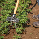 Tine Weeding Rake – 6" Hoes & Cultivators