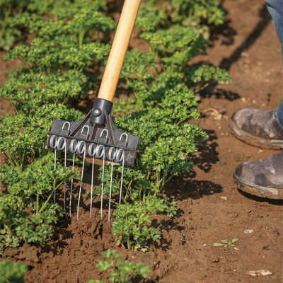 Tine Weeding Rake – 6" Hoes & Cultivators