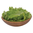 Marilisa Summer Crisp Lettuce (Batavia)