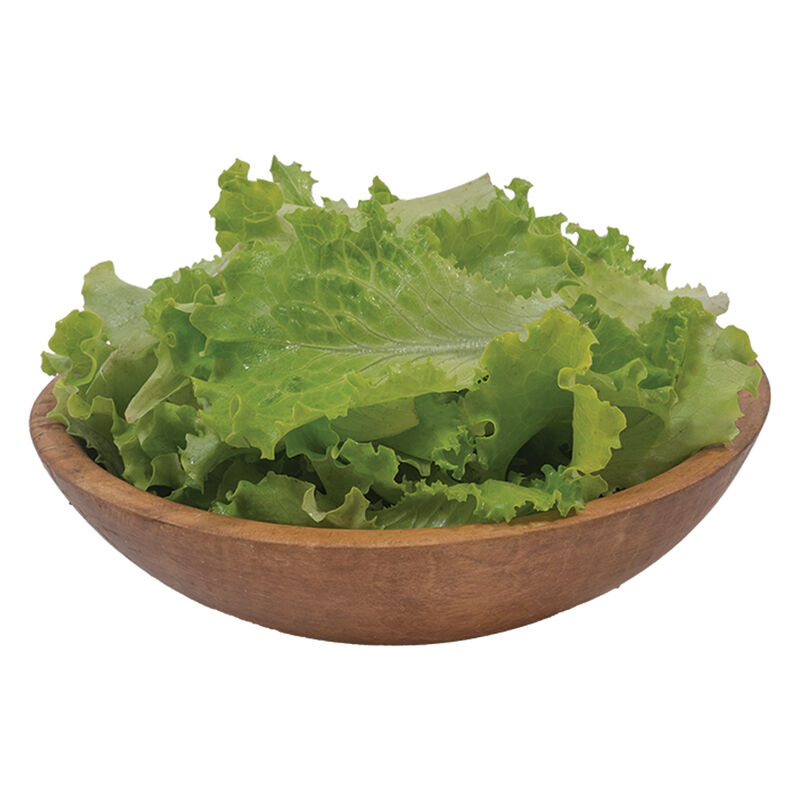 Marilisa Summer Crisp Lettuce (Batavia)