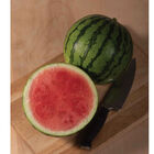 Ocelot Triploid Watermelons (Seedless)