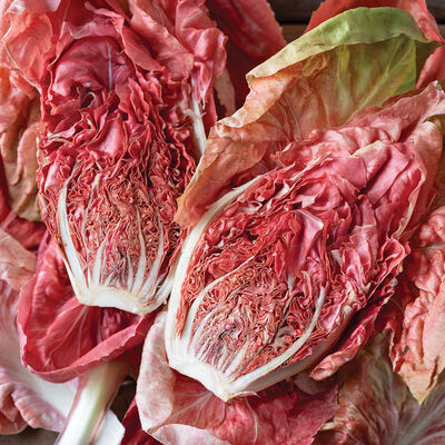 Stella Rosa Radicchio