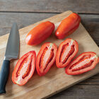 Tiren Paste Tomatoes