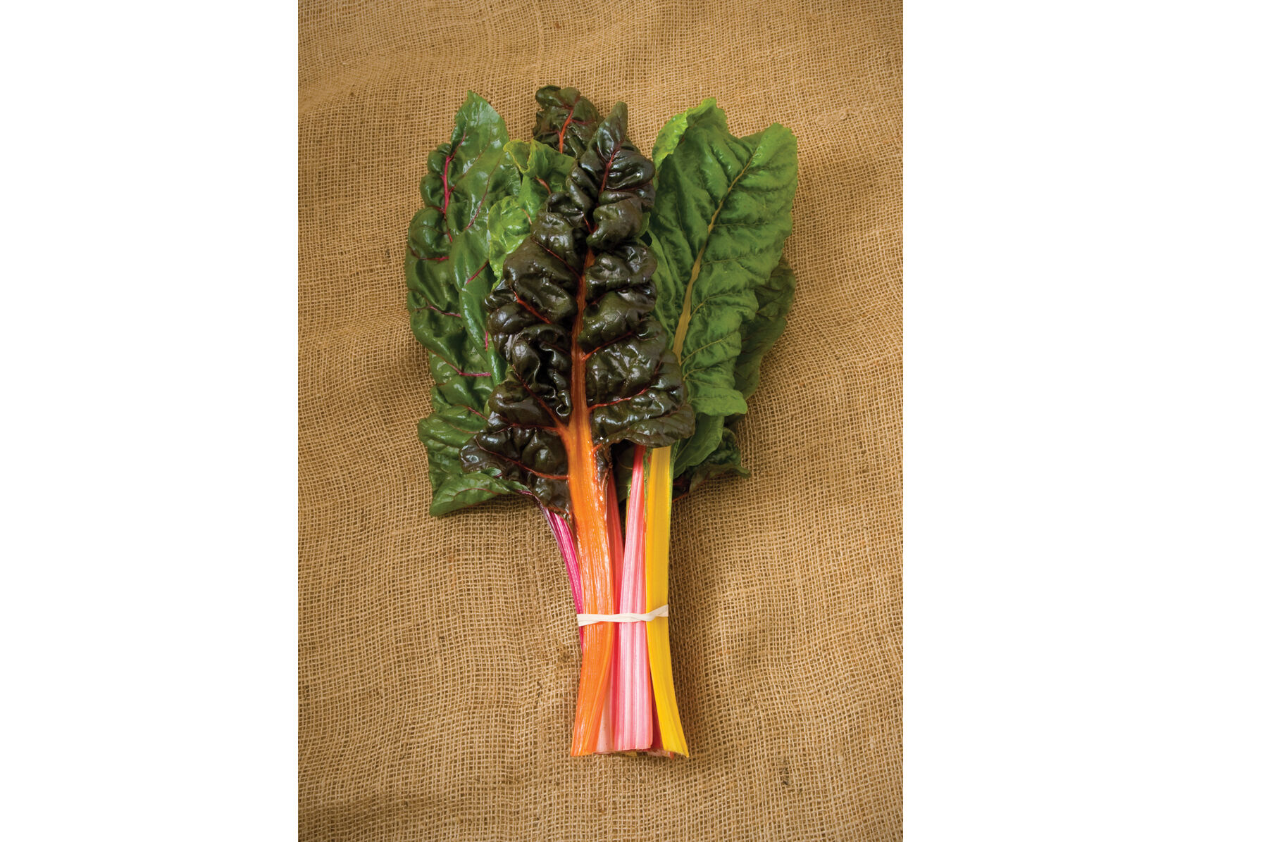 Bright Lights Swiss Chard