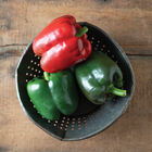 Green Machine Sweet Bell Peppers