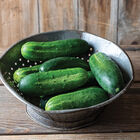 Gershwin Pickling Cucumbers