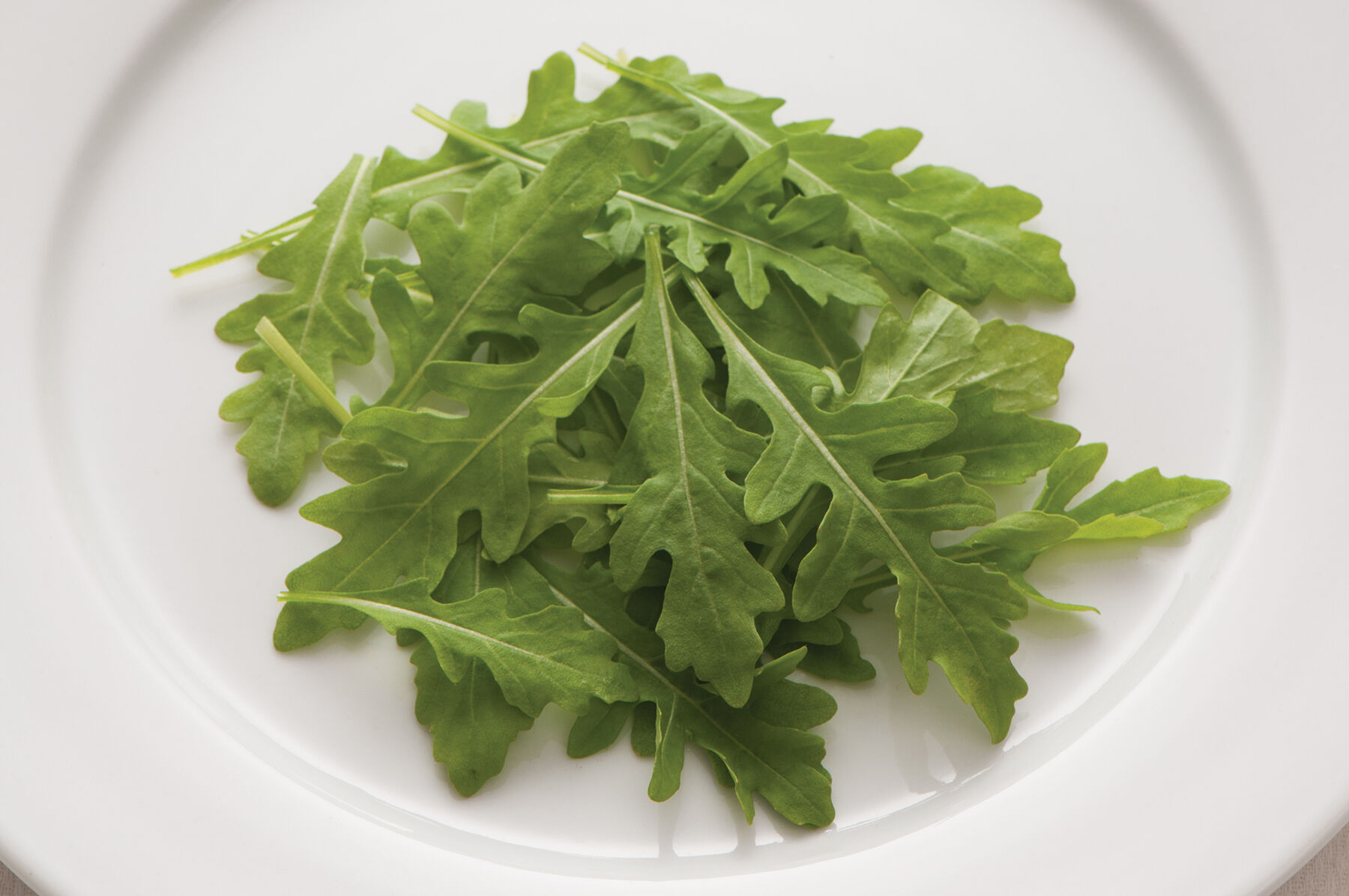 Johnny's Selected Seeds Sylvetta Wild Arugula Seed - Thumbnail 4