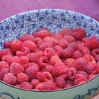 Latham Raspberry