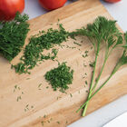 Menuette Leaf Parsley