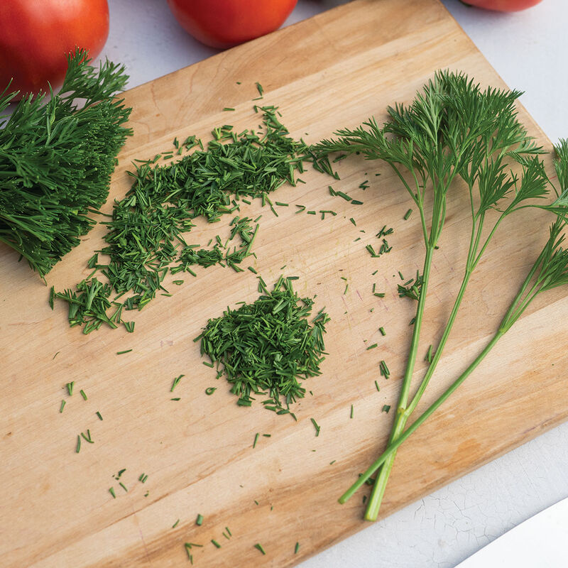 Menuette Leaf Parsley