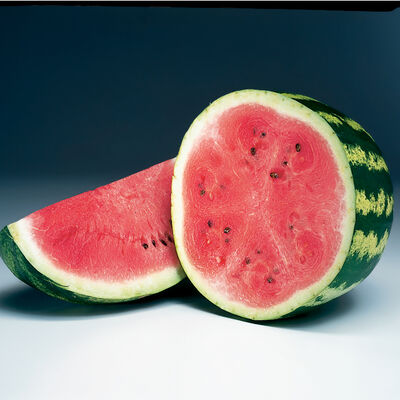 Crimson Sweet Diploid Watermelons