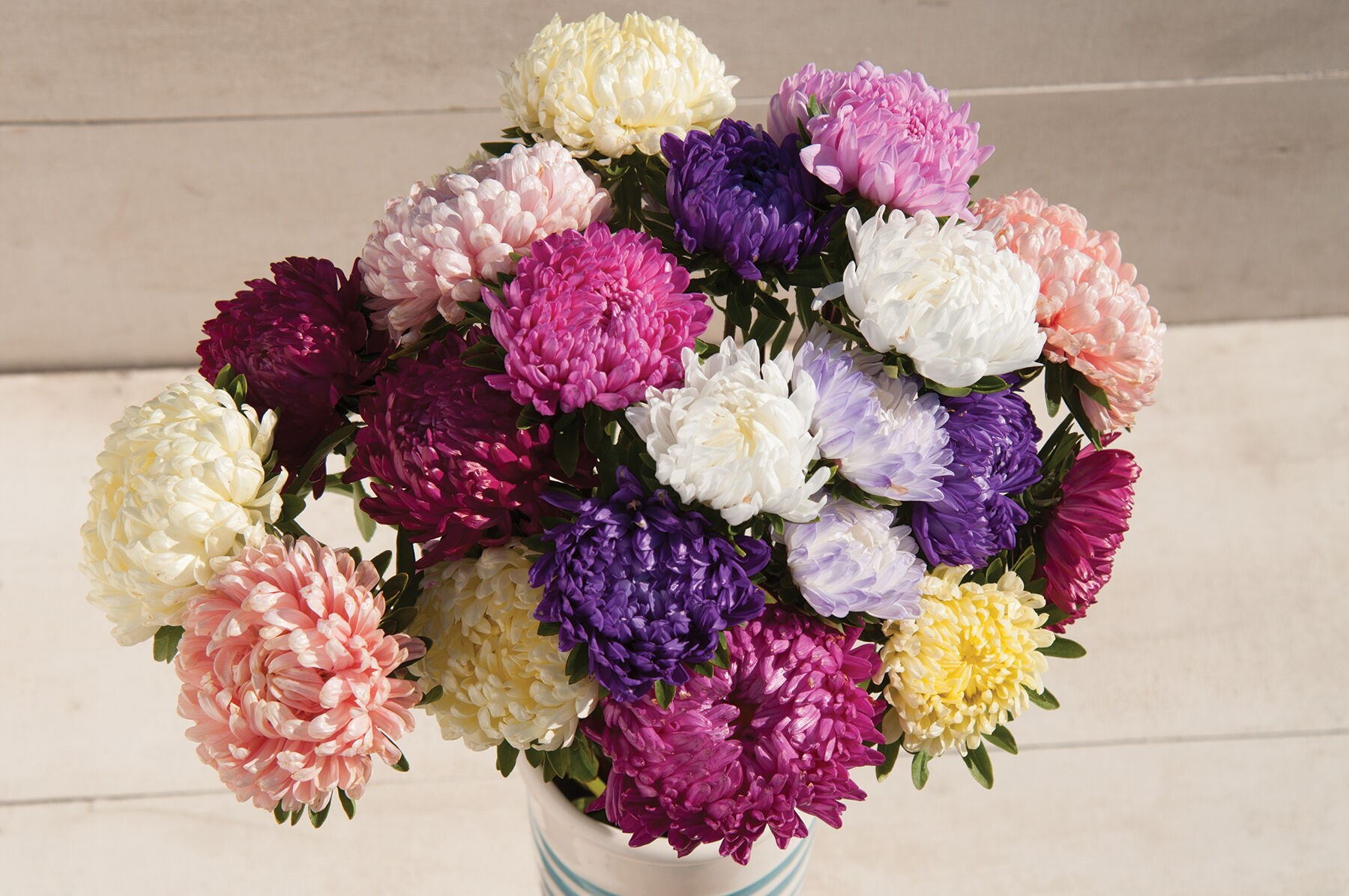 Tower Custom Mix - China Aster Seed | Johnny's Selected Seeds