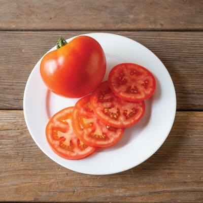 Sobkowich Slicer Tomato – Revival Seeds