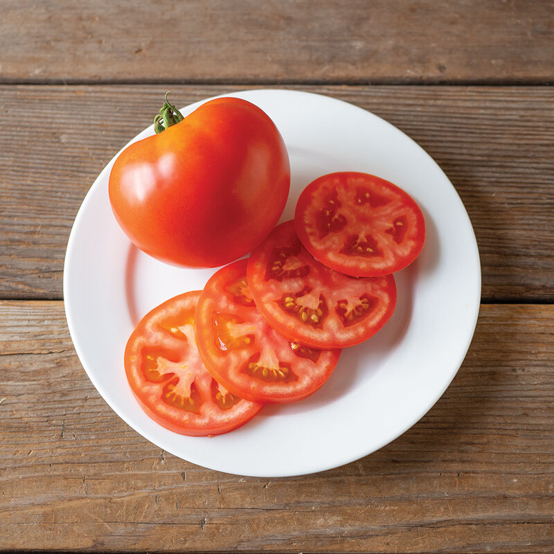 Slicer Tomato Seeds  Johnny's Selected Seeds