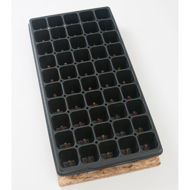 50 Cell Plug Popper 50 Cell Plug Popper Seed Starting Supplies