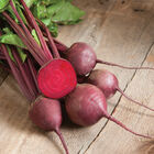 Red Ace Round Red Beets