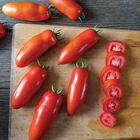 Amalfi Paste Tomatoes