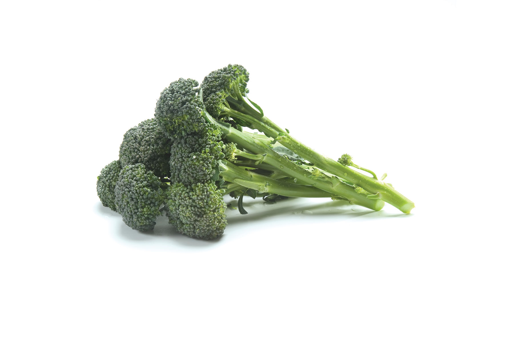 Sibsey - (F1) Broccoli Seed | Johnny's Selected Seeds