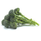 Sibsey Mini Broccoli