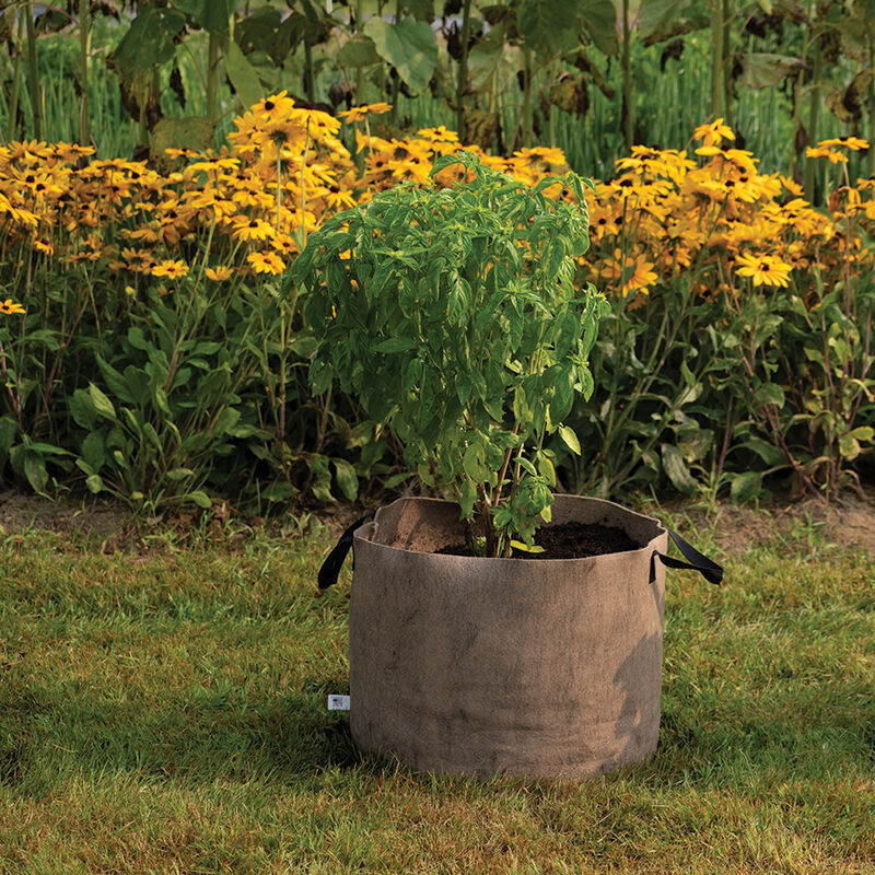 Smart Pot® Natural – 20 Gal. Grow Bags